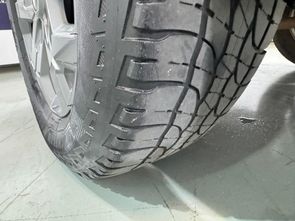RENAULT OROCH - foto 16