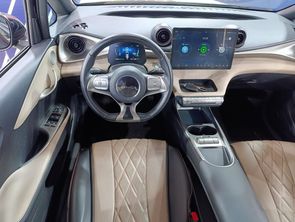 BYD DOLPHIN - foto 9