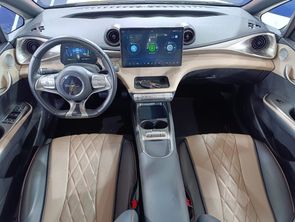 BYD DOLPHIN - foto 10