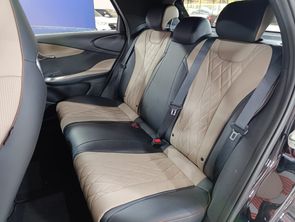 BYD DOLPHIN - foto 14