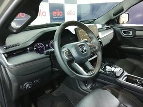 RAM RAMPAGE - foto 11