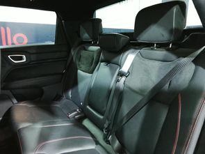 RAM RAMPAGE - foto 13